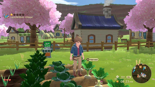 Harvest Moon The Winds of Anthos Complete Edition