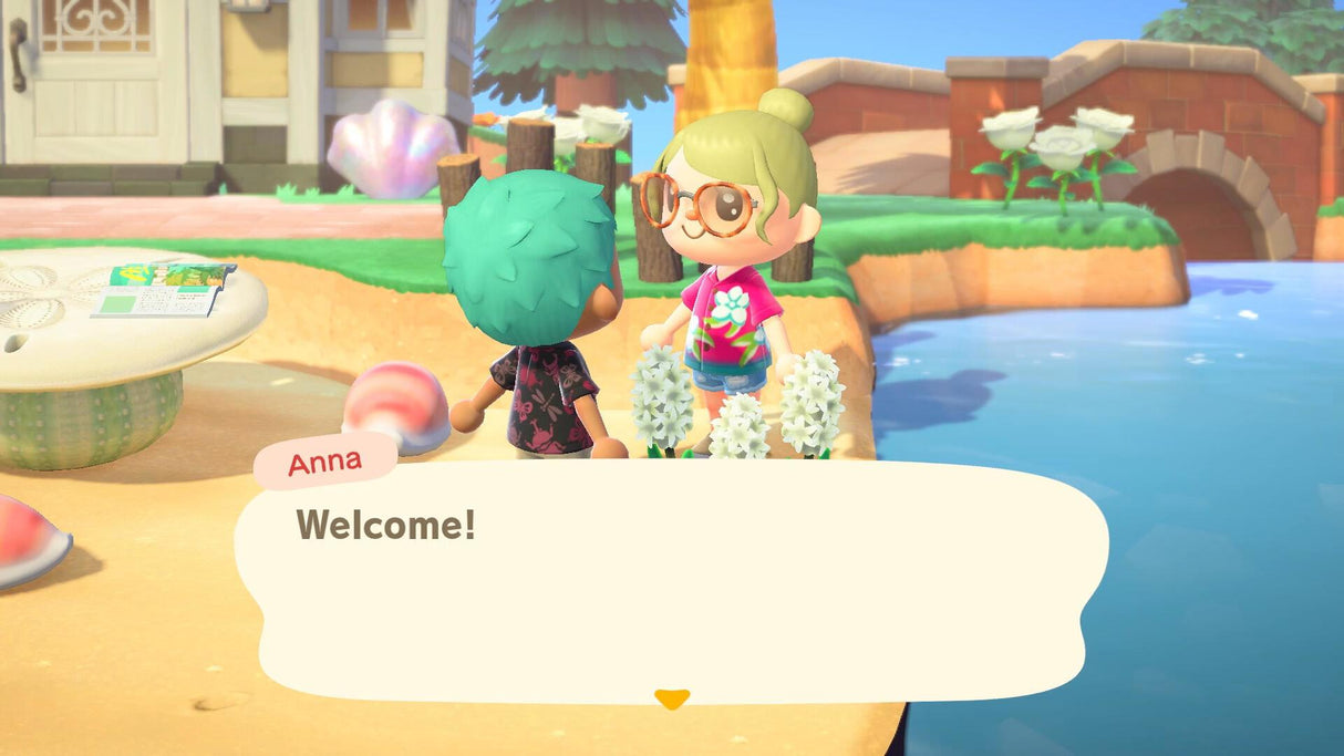 Animal Crossing: New Horizons (UK4) Nintendo Switch