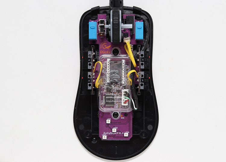 Ankfjäder Svart & Vit - Huano Blå