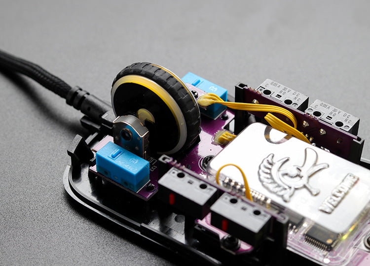 Ankfjäder Svart & Vit - Huano Blå