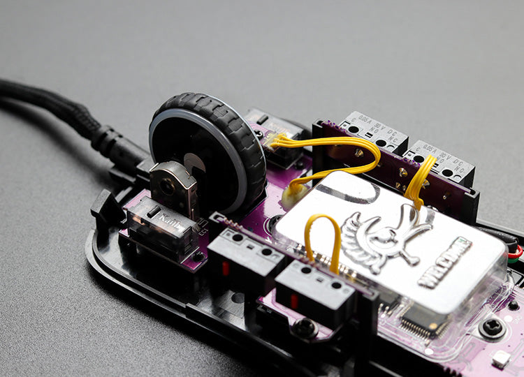 Ankfjäder Svart & Vit - Huano Blå