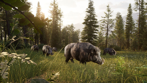 Way of the Hunter 2