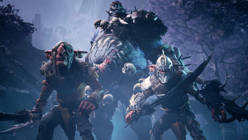 Dungeons & Dragons: Dark Alliance – Day One Edition – Xbox One / Xbox Series X – motiv fra spillet 2