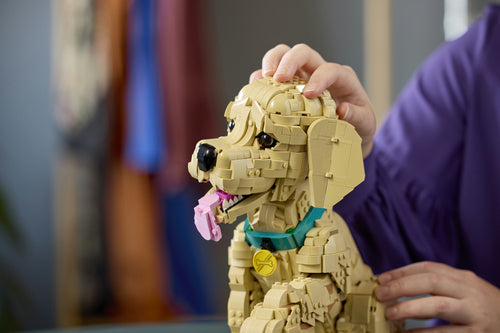 LEGO 11384 Icons - Szczeniak golden retriever Lego