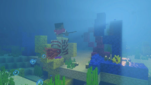 Minecraft -Nintendo Switch 2 Edition