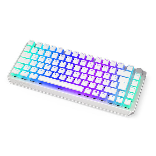 ENDORFY Thock 75% Wireless Onyx White (wei. DE-Layout. Kailh Box Black)