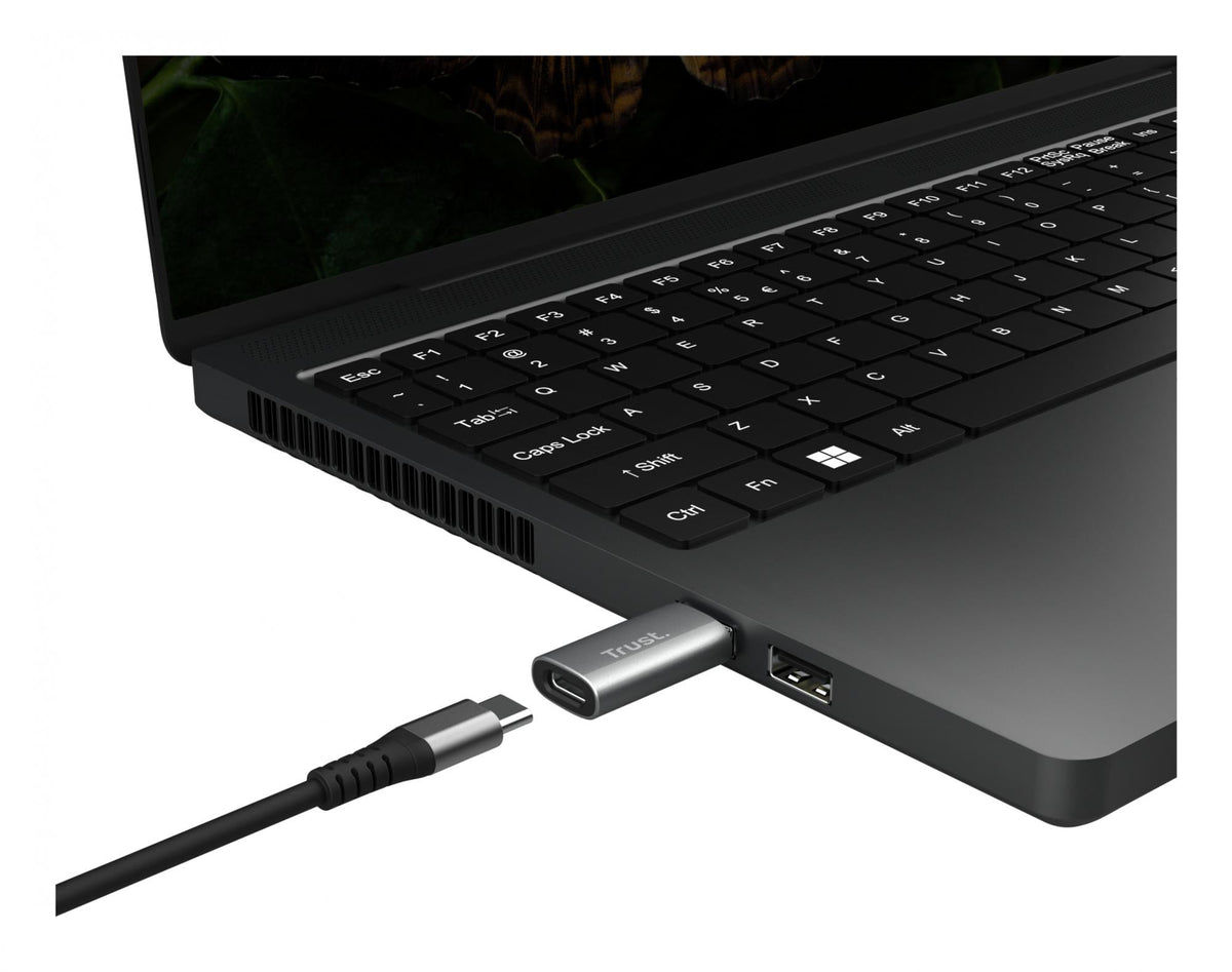 TRUST CALYX USB-A TO USB-C ADAPTER 2PACK TRUST