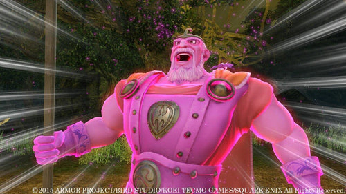 Dragon Quest Heroes – PlayStation 4 – skærmbillede fra spillet