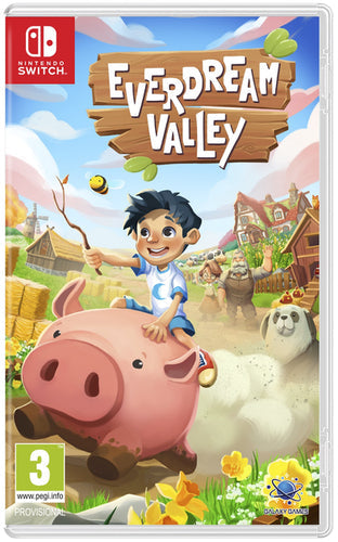 Everdream Valley – Nintendo Switch – spilomslag