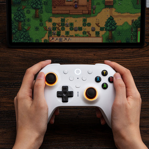 8BitDo Ultimate 2 Wireless controller 2.4G