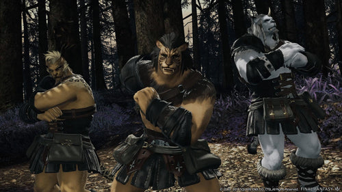 Final Fantasy XIV: Shadowbringers