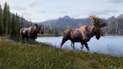 Way of the Hunter 2 – Xbox Series X – motiv fra spillet 6