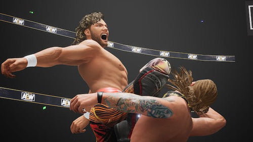AEW: Fight Forever THQ