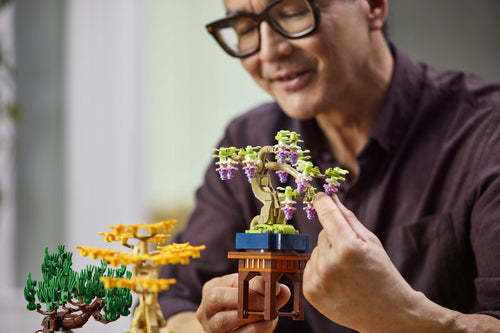 LEGO Botanicals Mini-bonsaitræer Lego