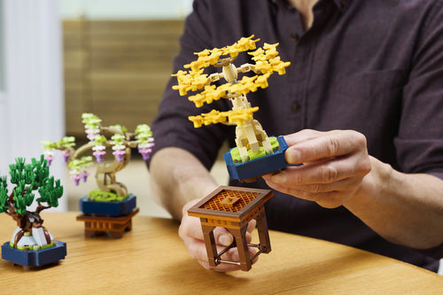 LEGO Botanicals Mini-bonsaitræer Lego