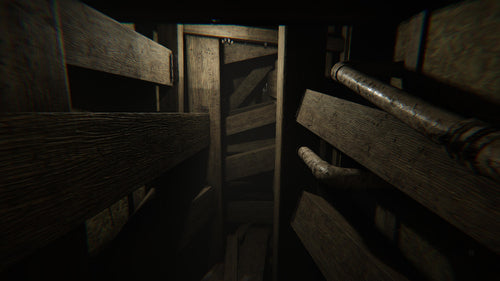 MADiSON - Possessed Edition Koch Media