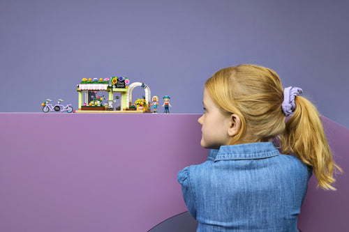 LEGO Friends Kreativ Blomsterbutik Lego