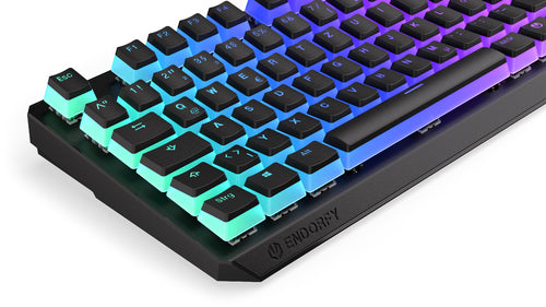 ENDORFY Thock TKL Wireless Pudding (schwarz. DE-Layout. Kailh Box Red)