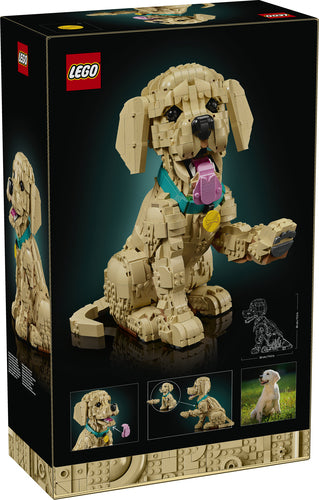 LEGO 11384 Icons - Szczeniak golden retriever Lego
