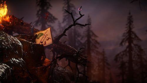 Unravel Two – Nintendo Switch – supplerende spilillustration 15