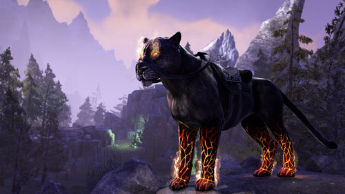 The Elder Scrolls Online: Summerset – PlayStation 4 – billede 1
