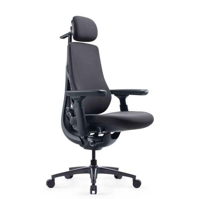 LiberNovo Maxis SE Manual ergonomisk stol – Graphite
