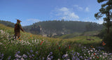 Kingdom Come Deliverance - Royal Edition Deep Silver