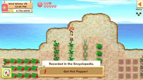 Harvest Moon: Light of Hope SE Complete (Import) – PlayStation 4 – skærmbillede fra spillet