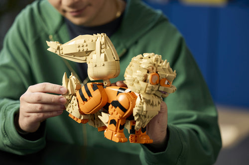 LEGO - Pokémon - Arcanine (72160)
