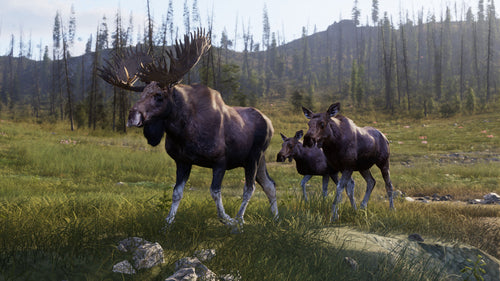 Way of the Hunter 2 – Xbox Series X – motiv fra spillet 5