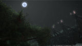 Final Fantasy XIV (14): Stormblood – PlayStation 4 – skærmbillede fra spillet