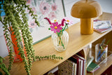 LEGO - Botanicals - Cosmos Flowers (11514) Lego