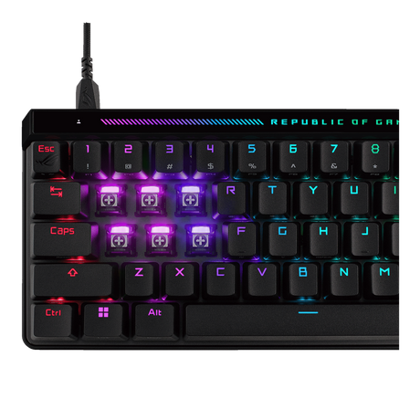 ASUS ROG FALCHION ACE HFX (M605) 65% Analog Gaming Keyboard with ROG HFX Magnetic Switches ASUS