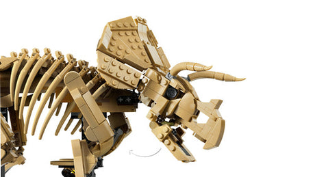 LEGO Jurassic World 77985 Triceratops-fossil – nærbillede af kranie og horn