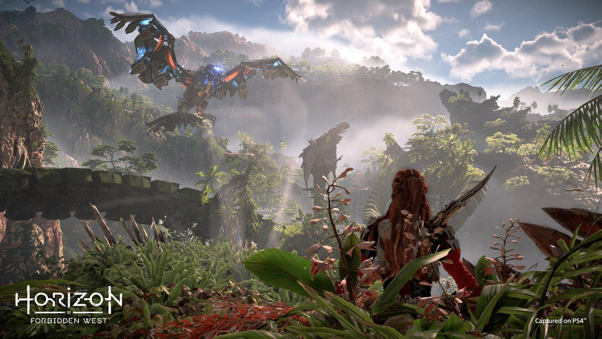 Horizon Forbidden West (UK/AR) Sony
