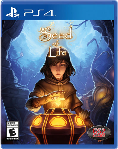 Seed of Life Funbox
