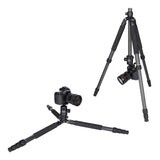 Rollei Rock Solid Beta Mark II stativ Rollei