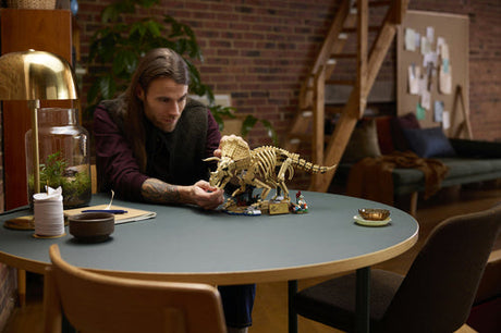 LEGO Jurassic World 77985 Triceratops-fossil – som en voksen bygger ved et bord