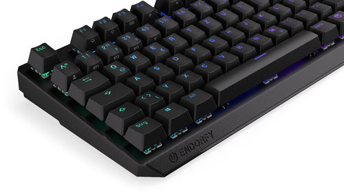 ENDORFY Thock TKL Wireless (schwarz. DE-Layout. Kailh Box Red)