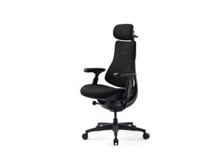 LiberNovo Omni SE Dynamic Ergonomic stol - Sort