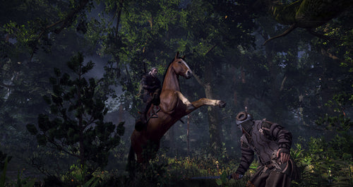The Witcher 3: Wild Hunt – Game of the Year Edition – Xbox One – motiv fra spillet 1