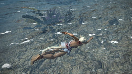 Final Fantasy XIV (14): Stormblood – PlayStation 4 – skærmbillede fra spillet