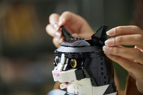 LEGO - LEGO Ideas - Tuxedo Cat (21349) Lego