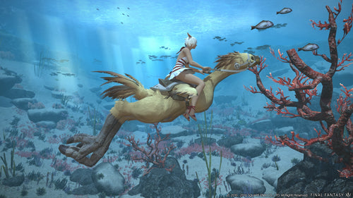 Final Fantasy XIV (14): Stormblood – PlayStation 4 – skærmbillede fra spillet