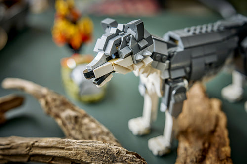 LEGO Creator 3-i-1 31393 – Skovens dyr: Grå ulv – nærbillede af ulvens hoved og forben