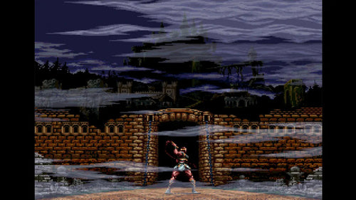 Castlevania Anniversary Collection (Limited Run #106) (Import)