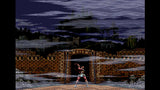 Castlevania Anniversary Collection (Limited Run #106) (Import)