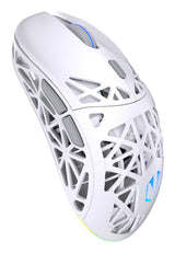 ENDORFY LIV Plus Wireless onyx white