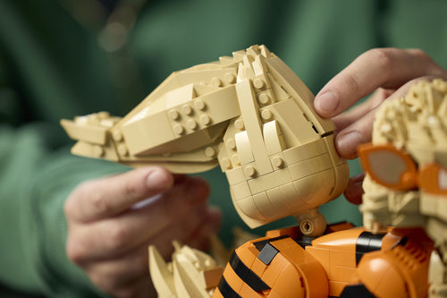LEGO - Pokémon - Arcanine (72160)