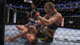 UFC 4 Electronic Arts